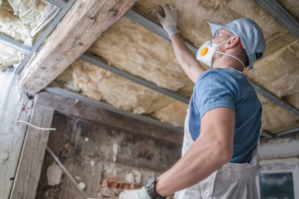 Best Insulation for Specific Applications in Garden City, ID